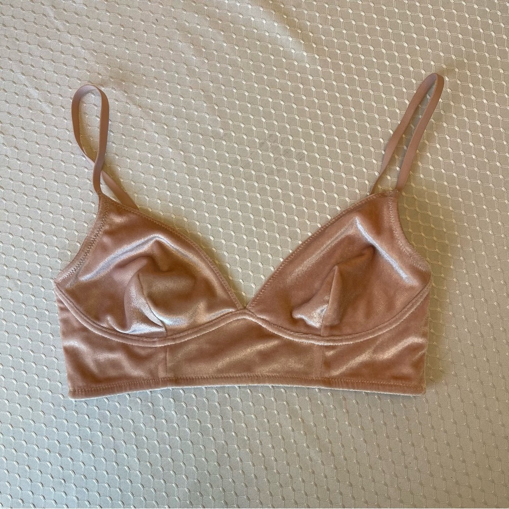 Light pink velvet bra with gold hardware